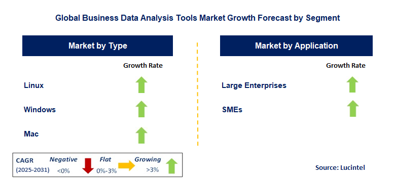 Business Data Analysis Tools Market by Segment